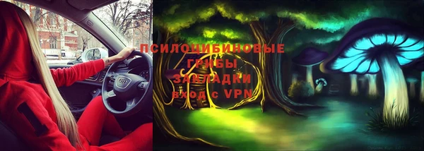 крисы Кодинск