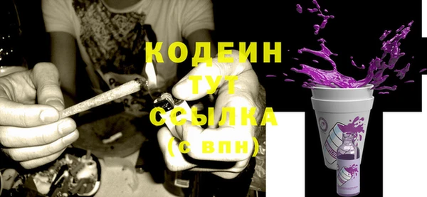 крисы Кодинск