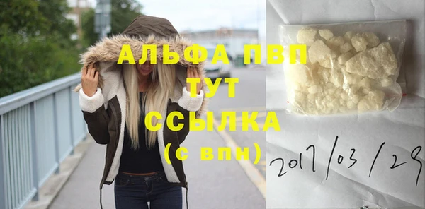 крисы Кодинск