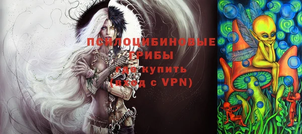 крисы Кодинск