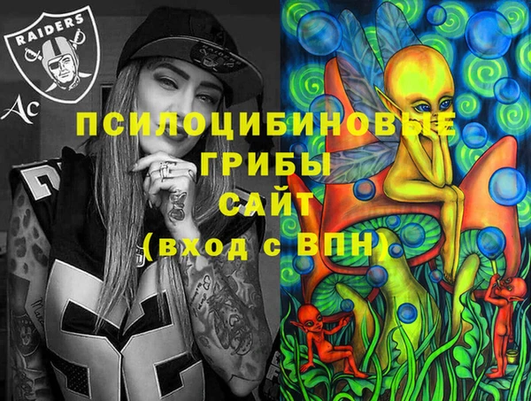 mdpv Козловка