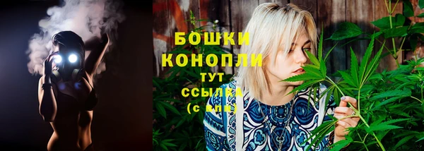 mdpv Козловка