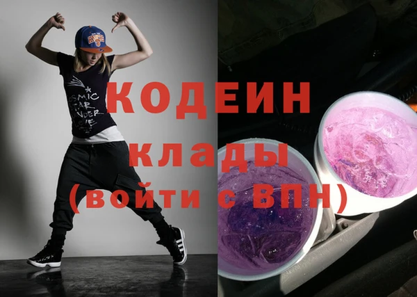 крисы Кодинск
