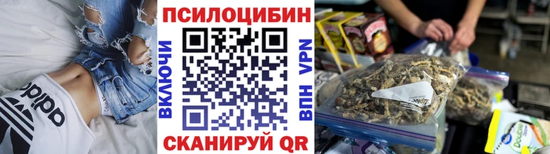 Купить закладки  Сосновоборск  Псилоцибиновые грибы Psilocybe 